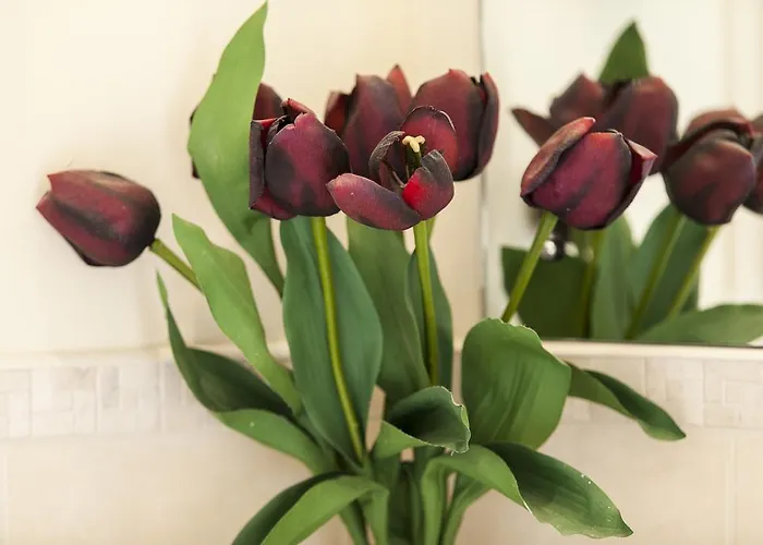 Apartment Vacation Rentals